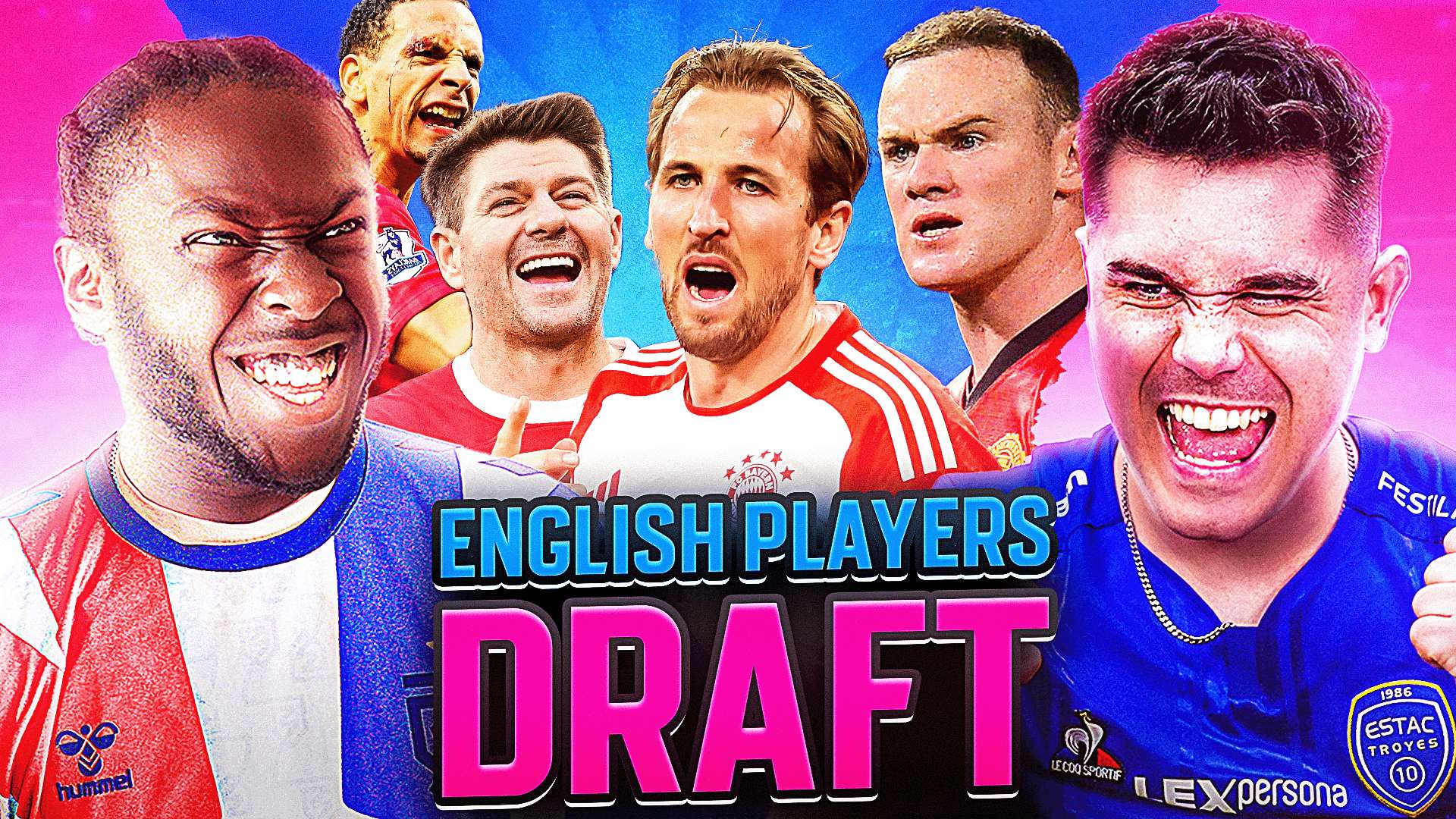 新生代的蓬 新生代的蓬