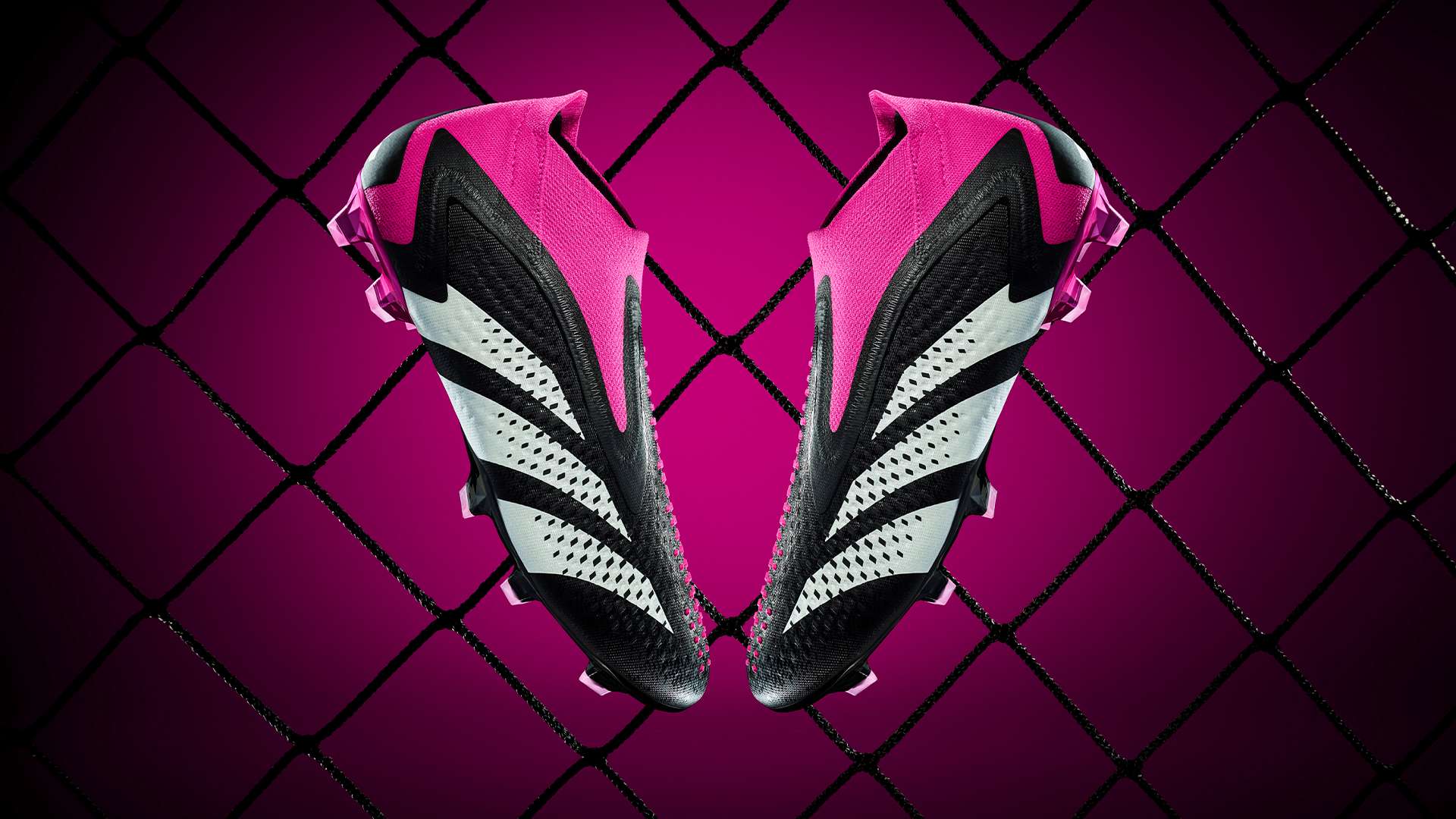 僅顯示了中 僅顯示了中