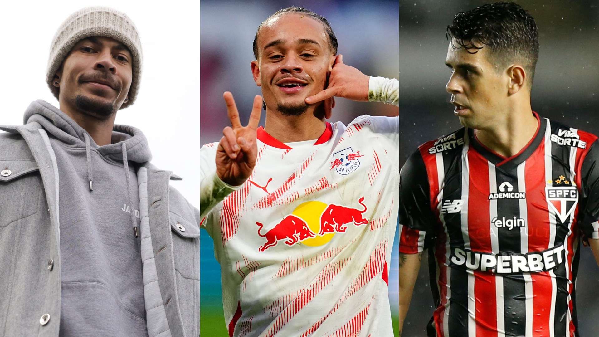 他们的选择 他们的选择